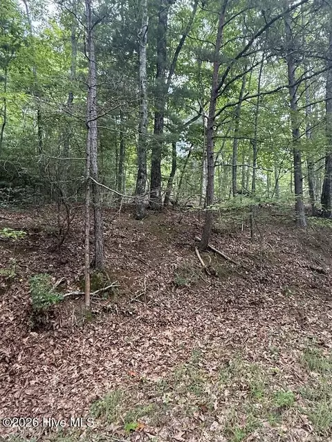 lot Apt 46 Pine Cove Ln, Murphy, NC 28906 photo 11