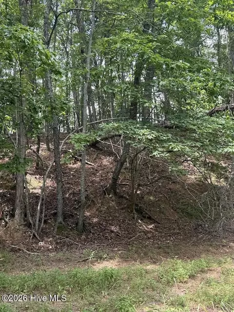 lot Apt 46 Pine Cove Ln, Murphy, NC 28906 photo 14