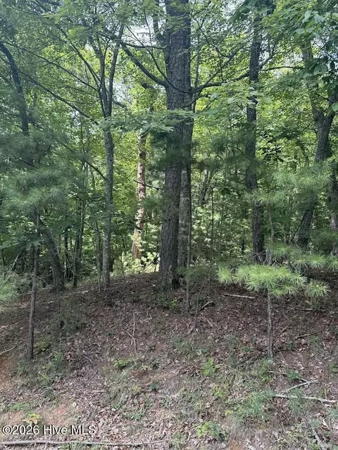 lot Apt 46 Pine Cove Ln, Murphy, NC 28906 photo 10