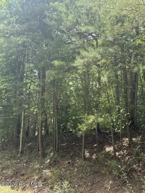 lot Apt 46 Pine Cove Ln, Murphy, NC 28906 photo 9