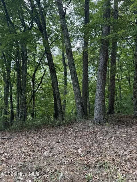 lot Apt 46 Pine Cove Ln, Murphy, NC 28906 photo 5