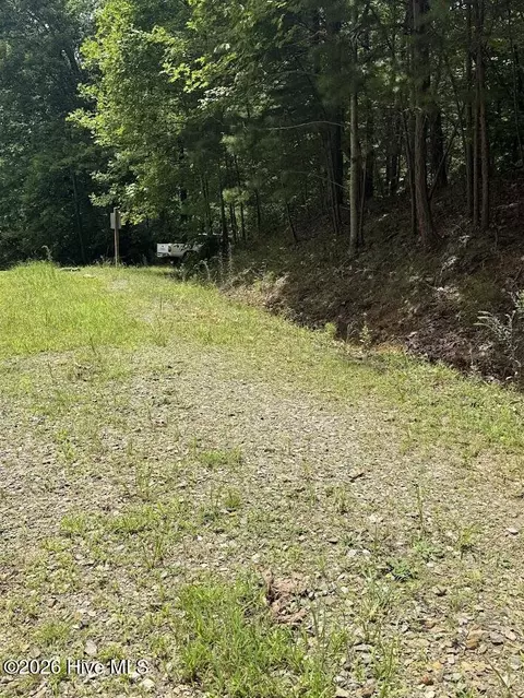lot Apt 46 Pine Cove Ln, Murphy, NC 28906 photo 3