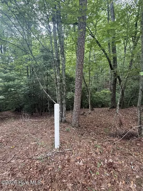 lot Apt 46 Pine Cove Ln, Murphy, NC 28906 photo 6