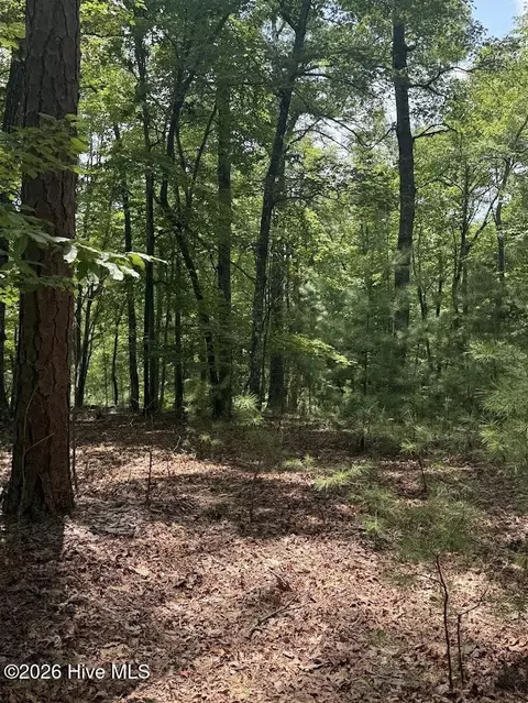 lot Apt 46 Pine Cove Ln, Murphy, NC 28906 photo 7