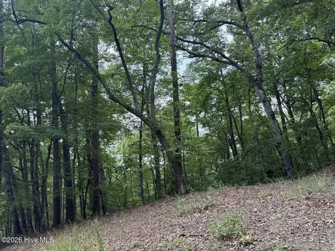 lot Apt 46 Pine Cove Ln, Murphy, NC 28906 photo 16