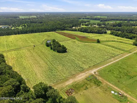 0 N Carolina 43, Macclesfield, NC 27852 photo 6