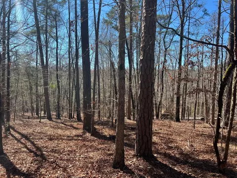 2369 Pine Ridge Dr, Appling, GA 30802 photo 7