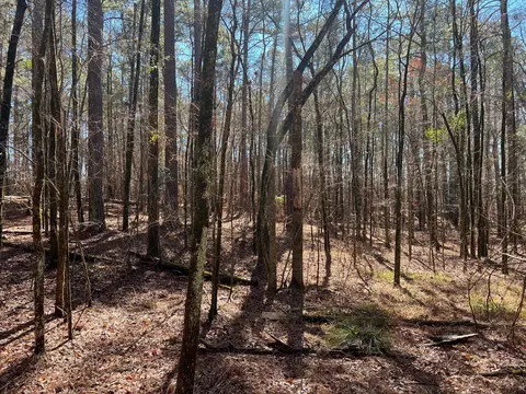 2369 Pine Ridge Dr, Appling, GA 30802 photo 5