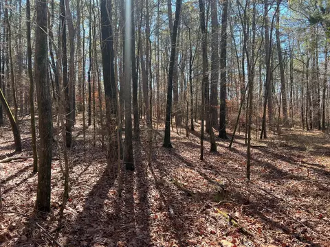 2369 Pine Ridge Dr, Appling, GA 30802 photo 6