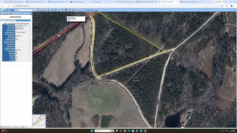 tbd Eugene Woodward Rd, Mount Croghan, SC 29727