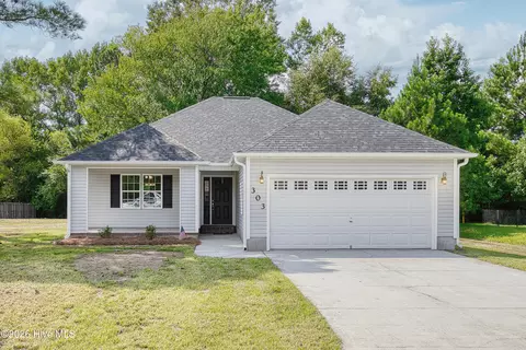 303 Big Tree Ln, Chinquapin, NC 28521