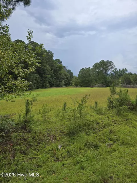 2865 Wheeler Rd, Thomson, GA 30824 photo 8
