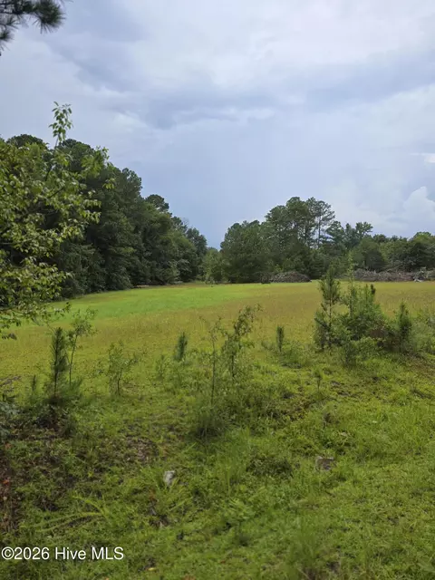 2865 Wheeler Rd, Thomson, GA 30824 photo 9