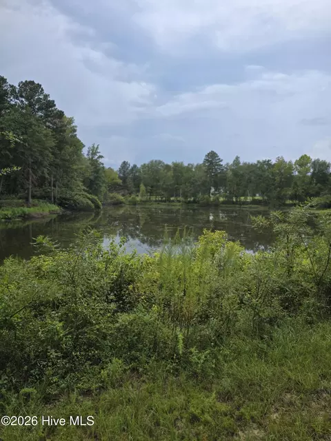 2865 Wheeler Rd, Thomson, GA 30824 photo 6