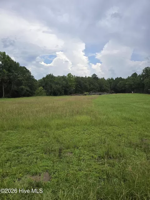 2865 Wheeler Rd, Thomson, GA 30824 photo 20