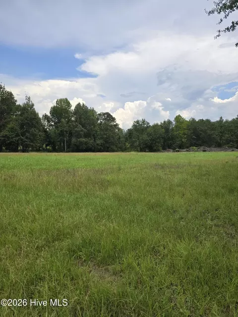 2865 Wheeler Rd, Thomson, GA 30824 photo 18
