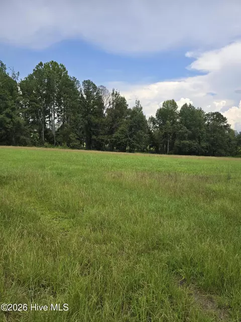 2865 Wheeler Rd, Thomson, GA 30824 photo 19