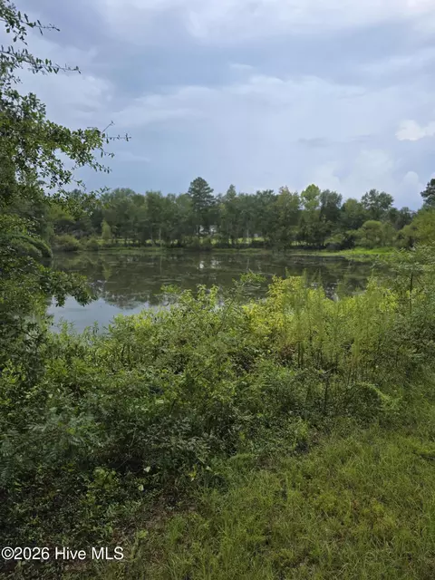 2865 Wheeler Rd, Thomson, GA 30824 photo 7