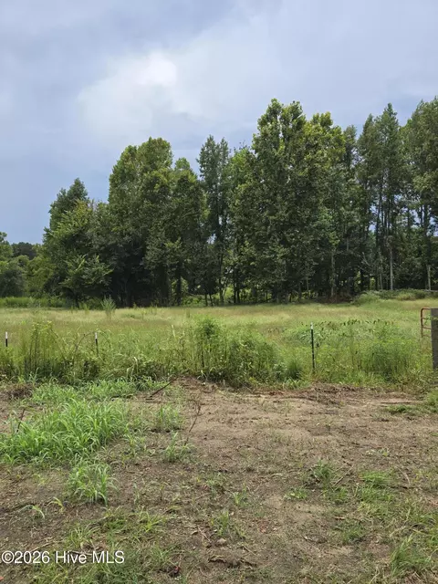 2865 Wheeler Rd, Thomson, GA 30824 photo 13