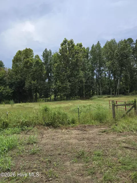 2865 Wheeler Rd, Thomson, GA 30824 photo 14