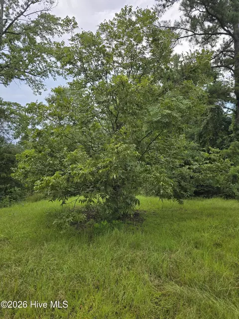 2865 Wheeler Rd, Thomson, GA 30824 photo 5