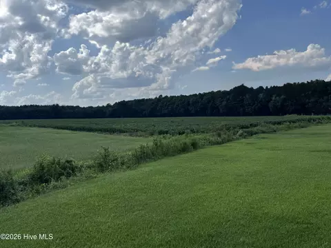 252 Haw Branch Rd, Richlands, NC 28574