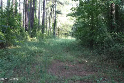 tbd River Haven Ln, Harrells, NC 28444 photo 12