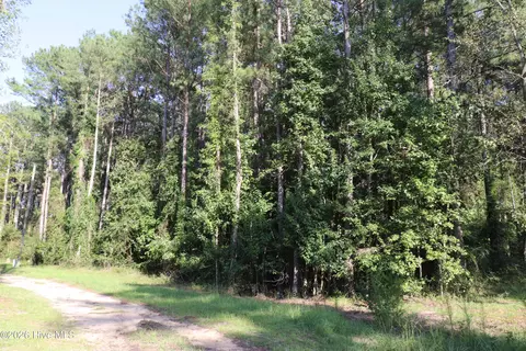 tbd River Haven Ln, Harrells, NC 28444 photo 6