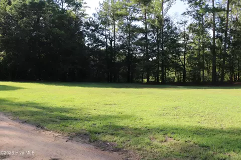tbd River Haven Ln, Harrells, NC 28444 photo 4