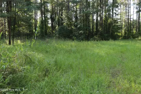 tbd River Haven Ln, Harrells, NC 28444 photo 10