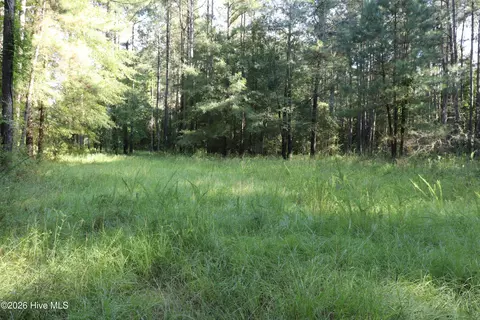 tbd River Haven Ln, Harrells, NC 28444 photo 9