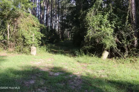 tbd River Haven Ln, Harrells, NC 28444 photo 8