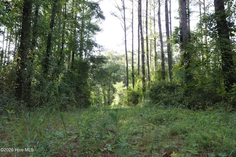 tbd River Haven Ln, Harrells, NC 28444 photo 11