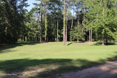 tbd River Haven Ln, Harrells, NC 28444 photo 5