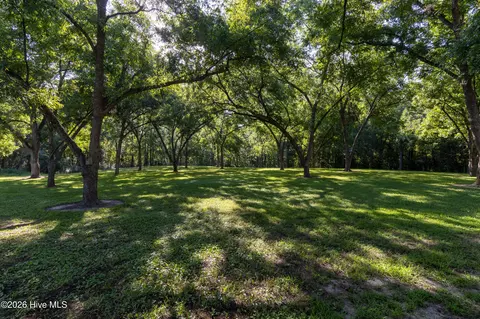 Other - 159 Hickory Fork Rd, Edenton, NC 27932 photo 13 of 14