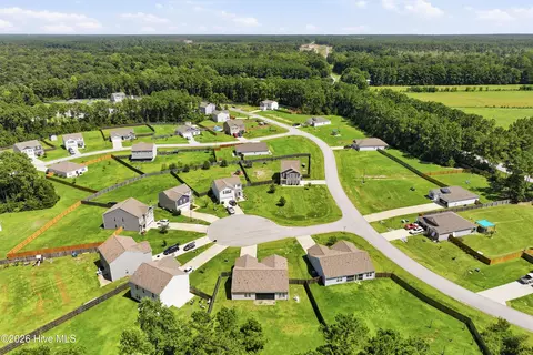 View/Area - 19 Evian Ct, Hampstead, NC 28443 photo 7 of 12