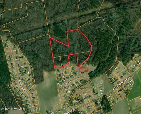 102 Colt Ct, Pikeville, NC 27863