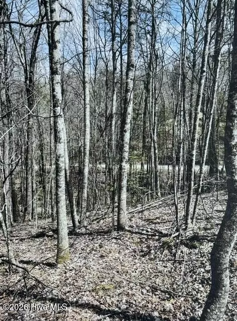 11 11b Hidden Lakes Rd # A, Topton, NC 28781