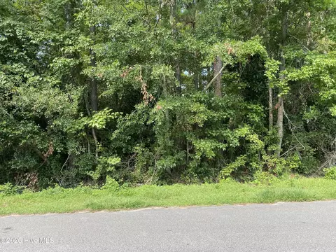 325 Trelawney Ct, Wilmington, NC 28411
