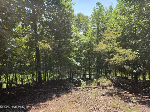 lot69 Collins Ct, Murphy, NC 28906 photo 7