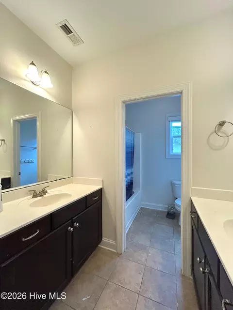 Bath - 424 Wolfe Ln, Hubert, NC 28539 photo 7 of 9