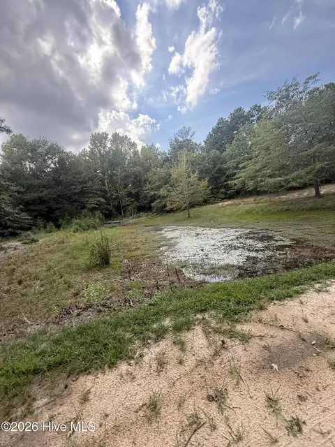 Other - 2171 Gene Howard Rd, Stapleton, GA 30823 photo 19 of 26
