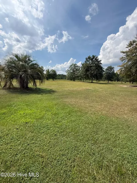 Other - 2171 Gene Howard Rd, Stapleton, GA 30823 photo 11 of 26