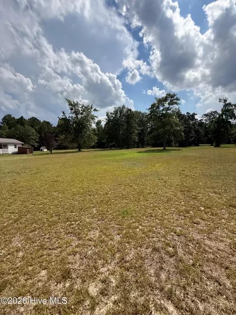 Other - 2171 Gene Howard Rd, Stapleton, GA 30823 photo 14 of 26