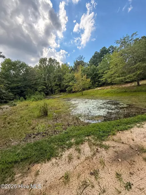 Other - 2171 Gene Howard Rd, Stapleton, GA 30823 photo 8 of 26