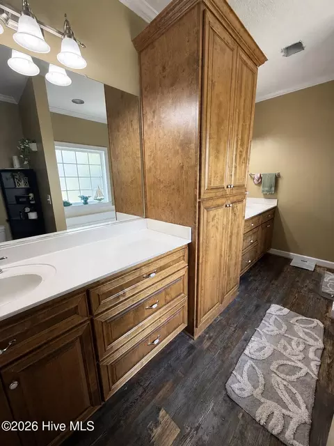 Bath - 2171 Gene Howard Rd, Stapleton, GA 30823 photo 4 of 5