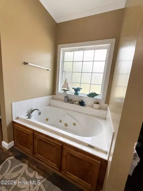 Bath - 2171 Gene Howard Rd, Stapleton, GA 30823 photo 3 of 5