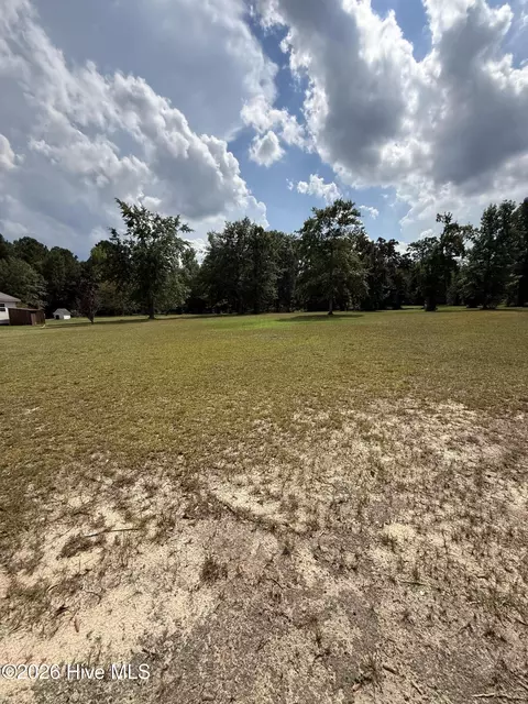 Other - 2171 Gene Howard Rd, Stapleton, GA 30823 photo 23 of 26