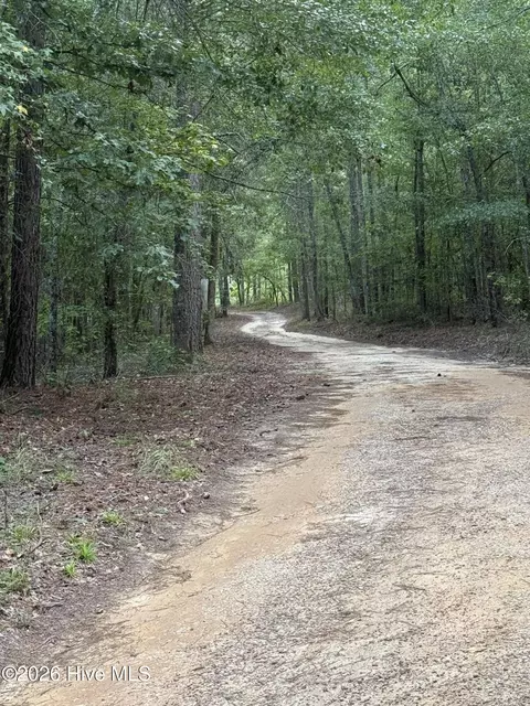 Other - 2171 Gene Howard Rd, Stapleton, GA 30823 photo 18 of 26