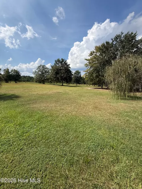 Exterior - 2171 Gene Howard Rd, Stapleton, GA 30823 photo 10 of 17